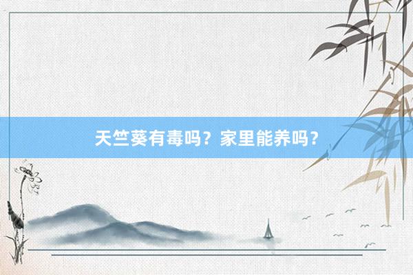 天竺葵有毒吗？家里能养吗？