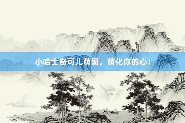 小哈士奇可儿萌图,萌化你的心!